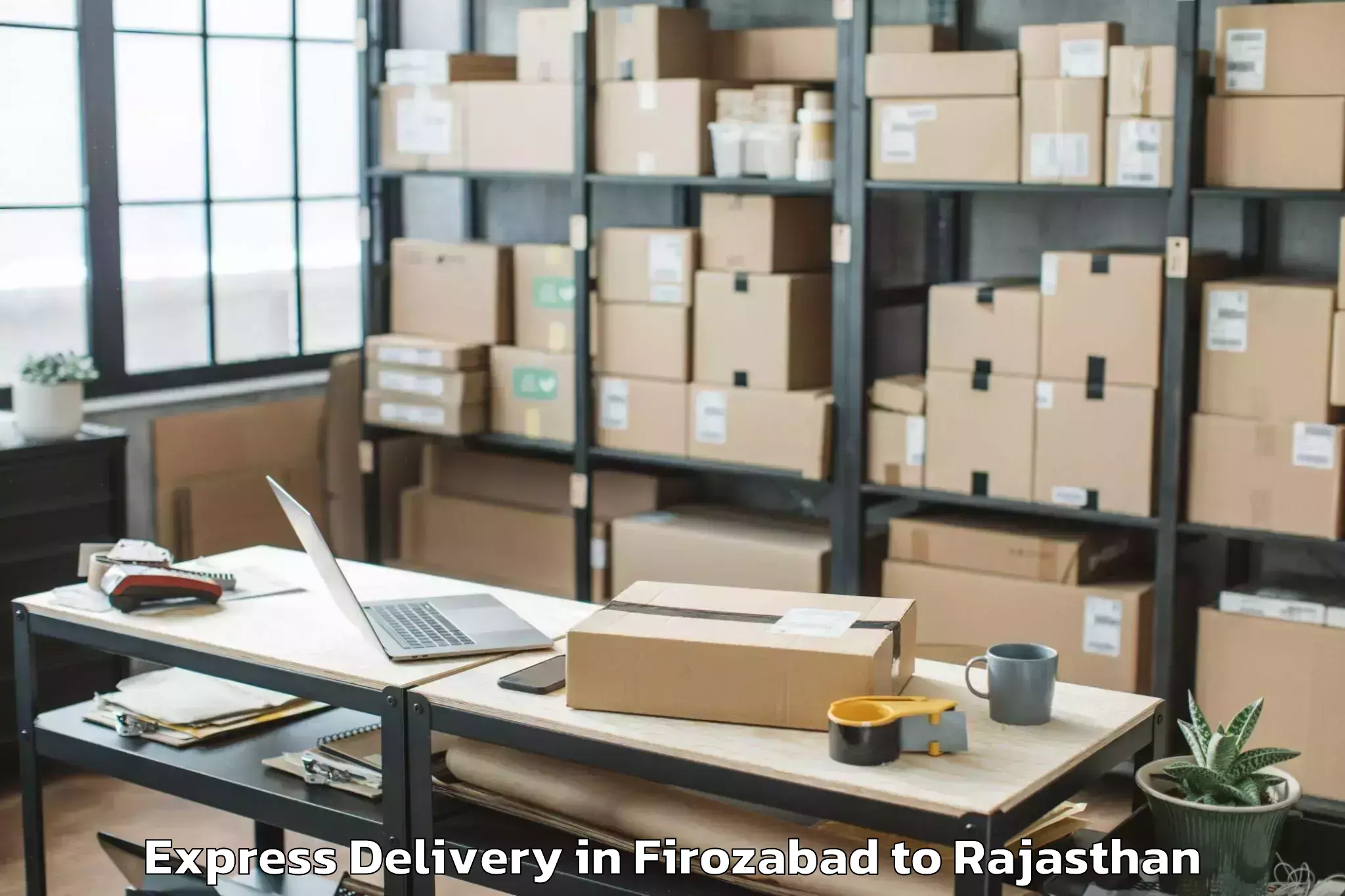 Professional Firozabad to Viratnagar Express Delivery